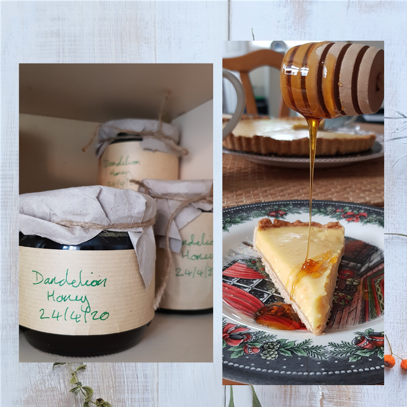 How to make Dandelion honey recipe and practical advise. Perfance